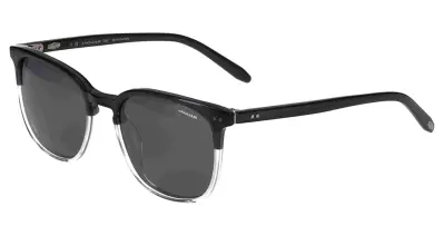 JAS Anthracite Grey Polarized 53-19-145