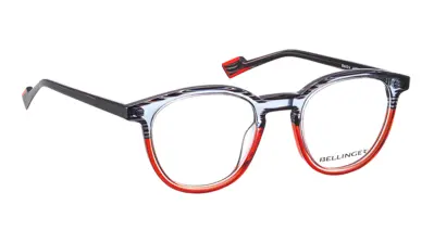 Bellinger Seafire 417