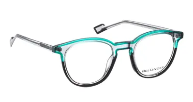 Bellinger Seafire 832